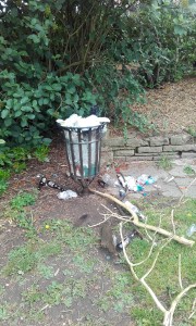 Overflowing bin in Devonshire Park